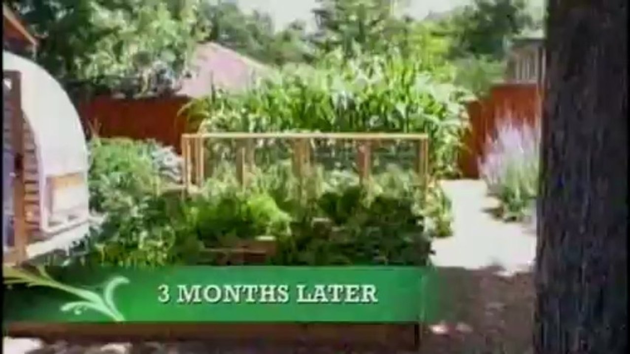 Лучшие экологические дома мира. 37из39. США, Аризона. США, Колорадо. Канада, Торонто.