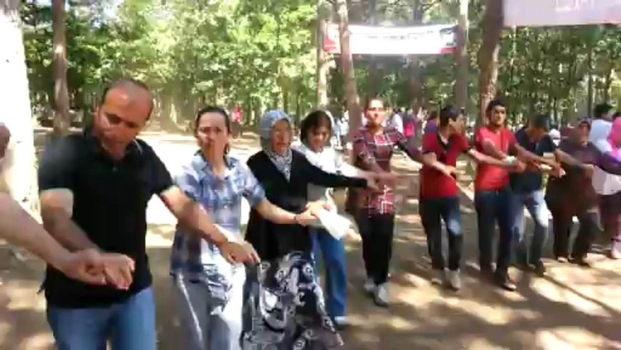 şiranlılar pikniği 2013