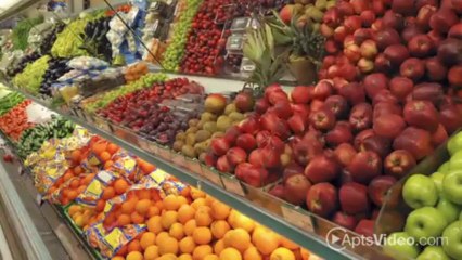 Holly View Apartments in Houston, TX - ForRent.com