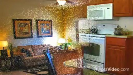 Palm Trails Apartments in Chandler, AZ - ForRent.com