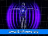 Microwave Radiation Protection, Electromagnetic Energy