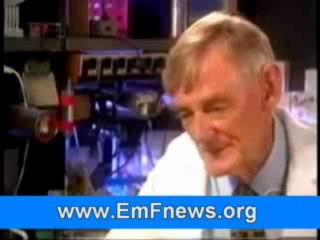 Cell Phone Radiation Harmful, Cell Phone Masts