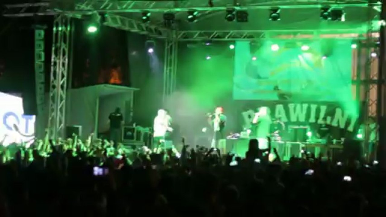 DELFINALIA 2013 GDYNIA