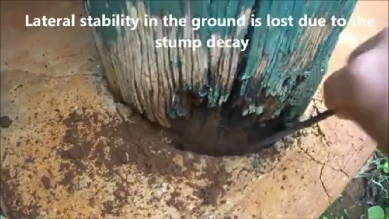 Incorrect Stump Modifications - Building Inspections Brisbane