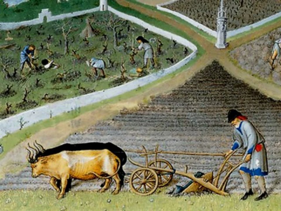 Le dariolage