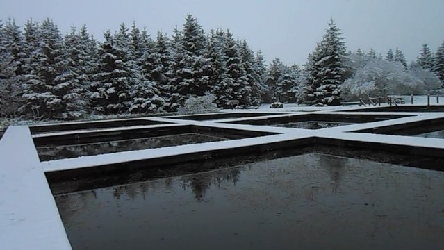 Les étangs des Barthes sous la neige, samedi 25 mai
