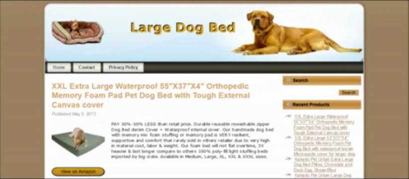 Amazon Affiliate Mini Sites