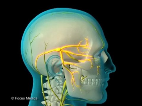 Gerald Schell MD - Neurology and Psychiatry_ (Animated Pocket Dictionary)