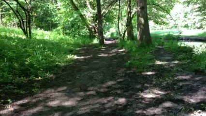 Aitch running like the clappers, Bois de Vincennes