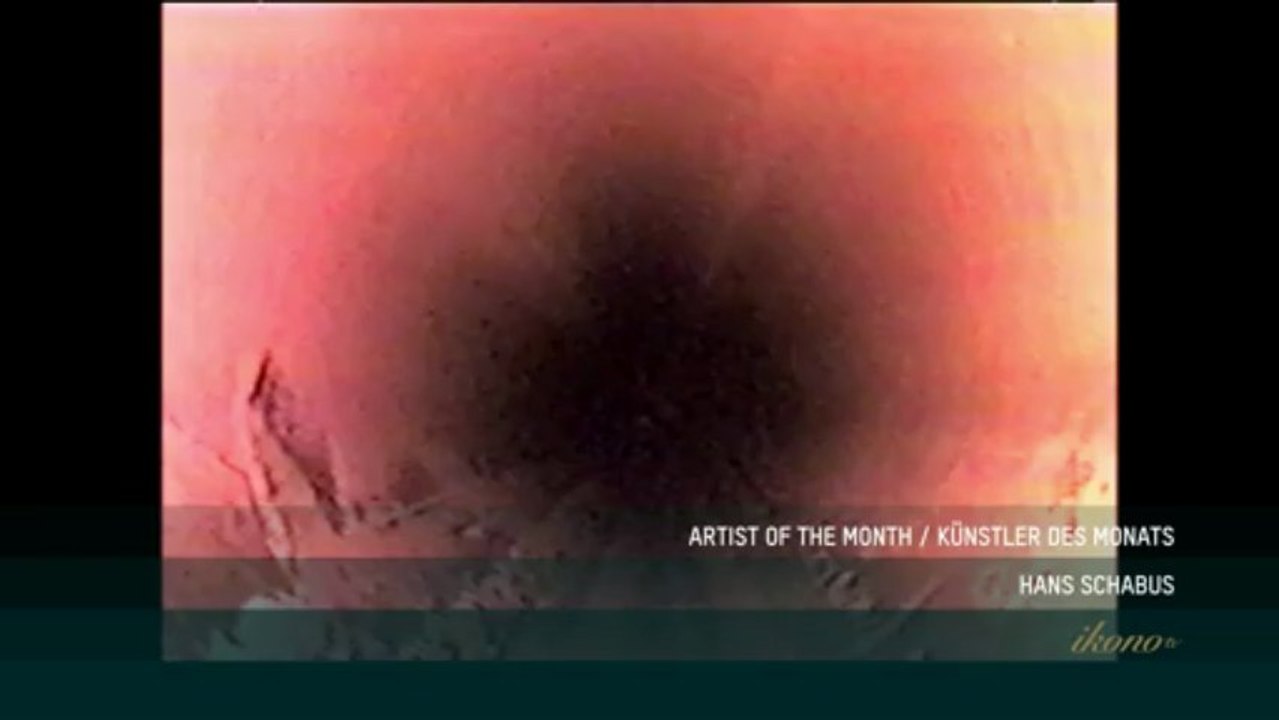 Artist of the Month - May 2013: Hans Schabus