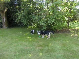 Les Frimousses au jardin