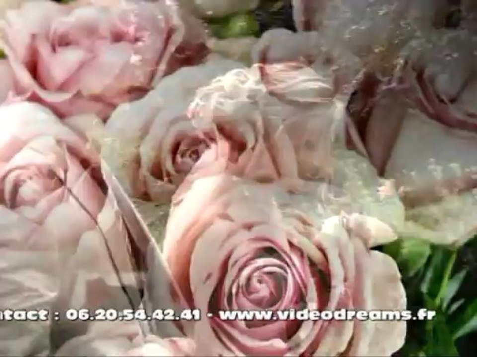 Mariage d'anouk et Julien le parc