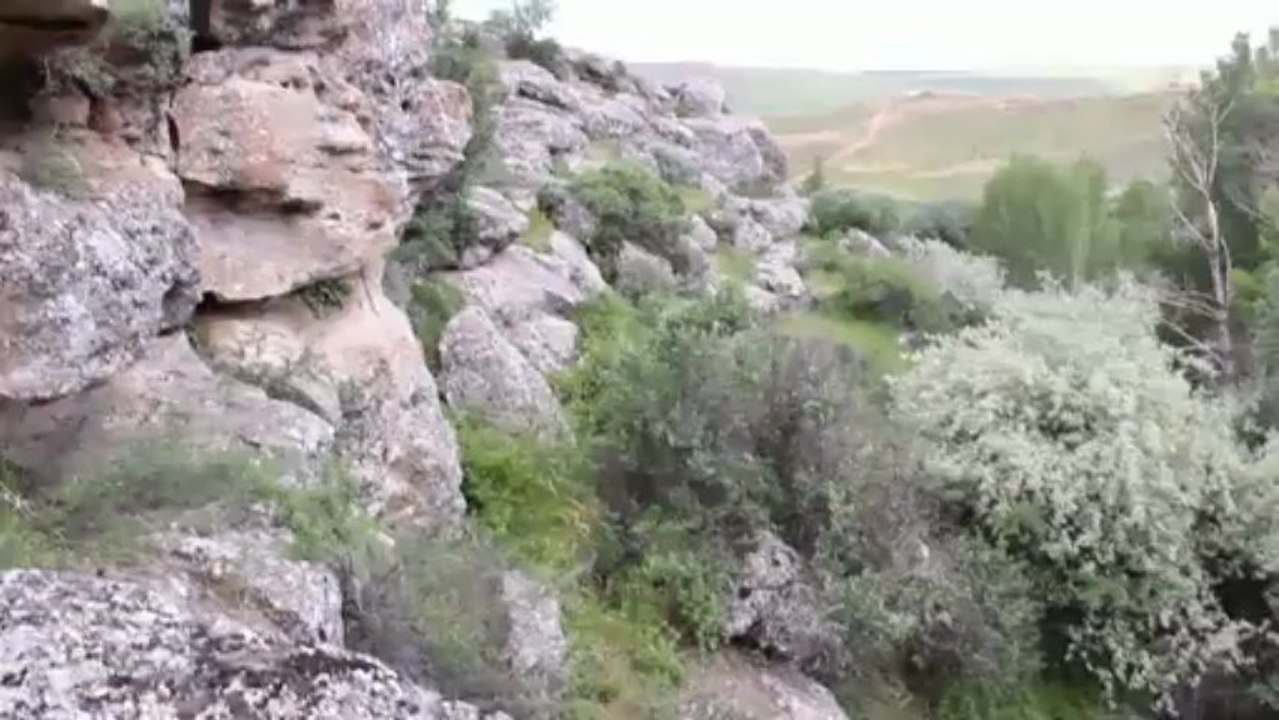 Yağıllı Köyü