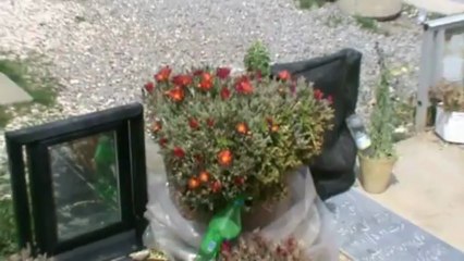 Great Muslim Graveyards; Iran (P-1),Bagh-e-Rizwan, Isfahan