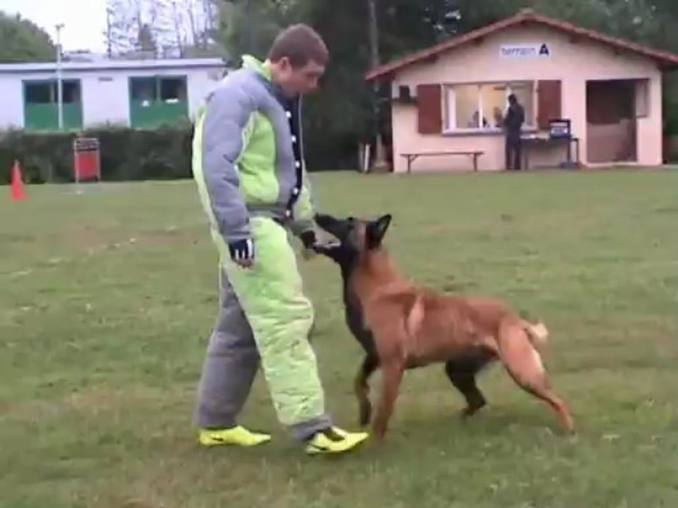 FURYO du Bois des Trembles - Saint-Dié- 2013
