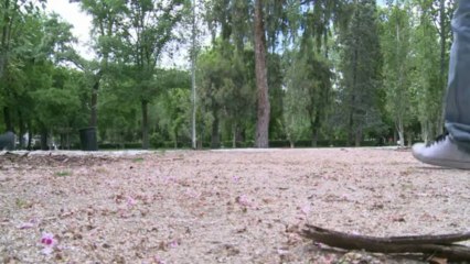 La jeunesse espagnole minée par la crise