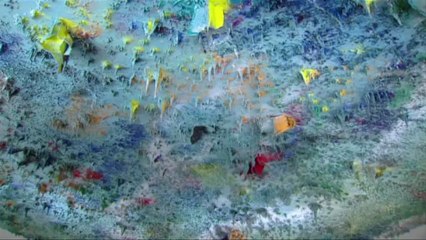 Jornal francês denuncia uso de armas químicas na Síria