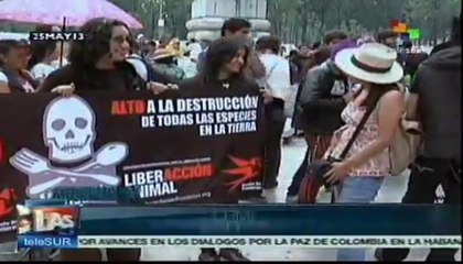 Rechazan en México siembra de maíz transgénico