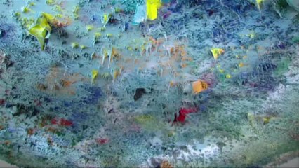 Europa dividida sobre Siria