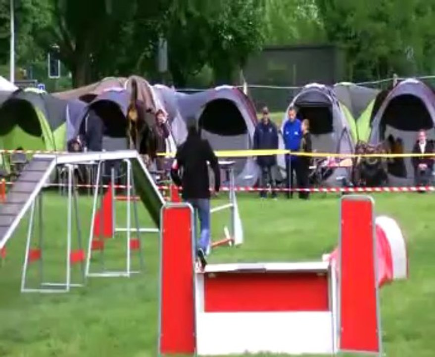 GPF  Sélectif Agility 2013  Argenteuil  :  Françoise+Dana