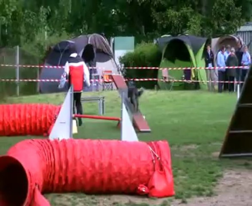 GPF  Sélectif  Agility 2013  Argenteuil : Philippe et Ella