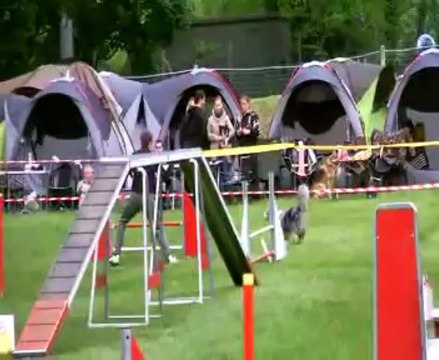 GPF Sélectif Agility 2013 Argenteuil : Laurent+DJ