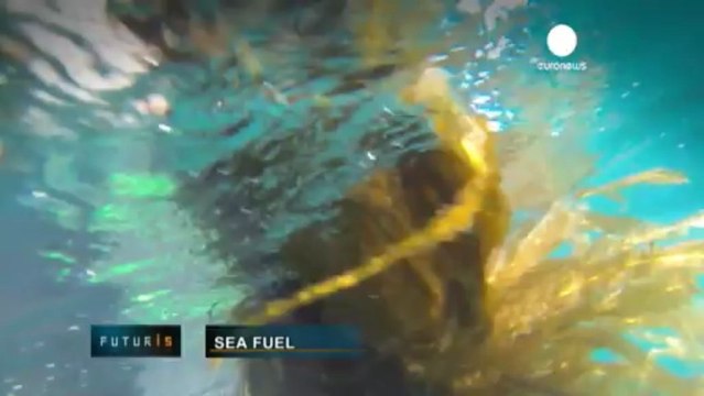 ¿La solución de los problemas energéticos del mundo...