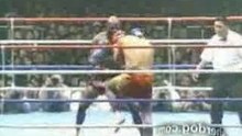 K1 Ernesto HoosT sherdog