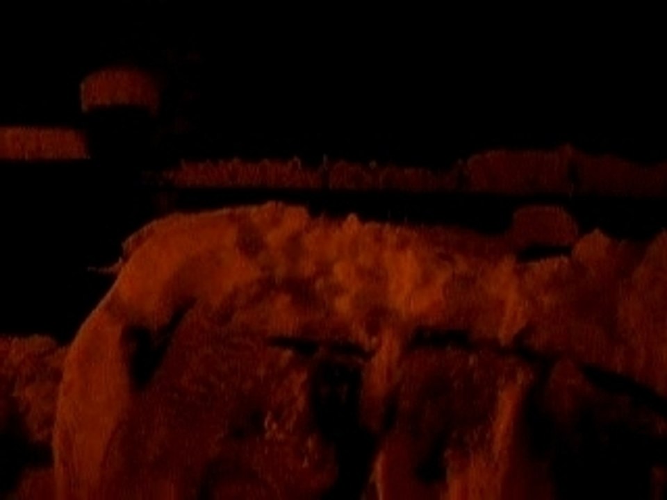 fort neigar