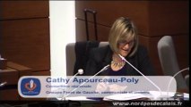 Intervention Cathy Apourceau-Poly politique austerite envers entreprises regions 16-05-13