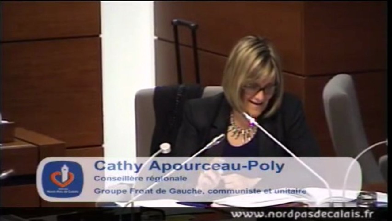 Intervention Cathy Apourceau-Poly politique austerite envers entreprises regions 16-05-13