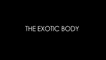 Schiaparelli and Prada: Impossible Conversations - The Exotic Body