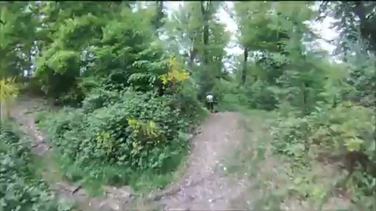 Entre madrillet et la Londe