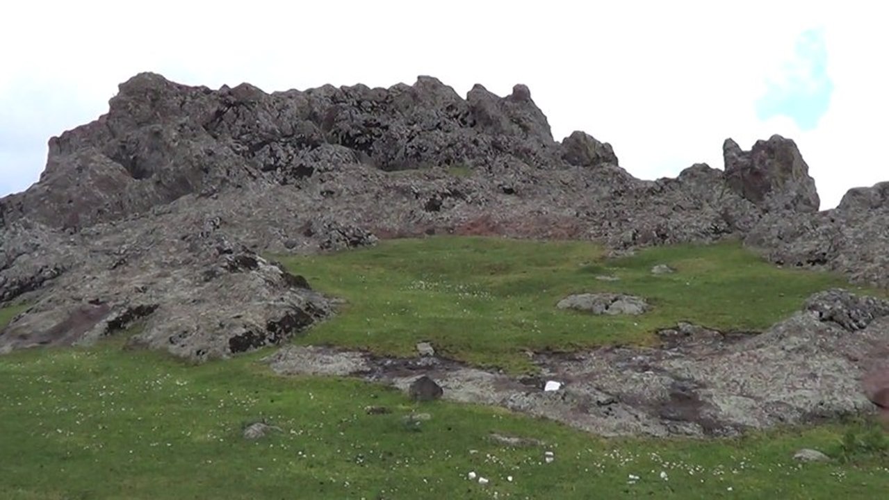 Metine Hambarkaya çağrısı 19.05.2013 - 00014