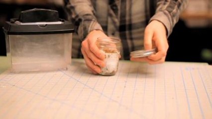 Most Dangerous Object in the Office: Mushroom Box Mini Growing System