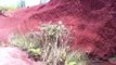 Kauai waterfall oasis towards Waimea Canyon