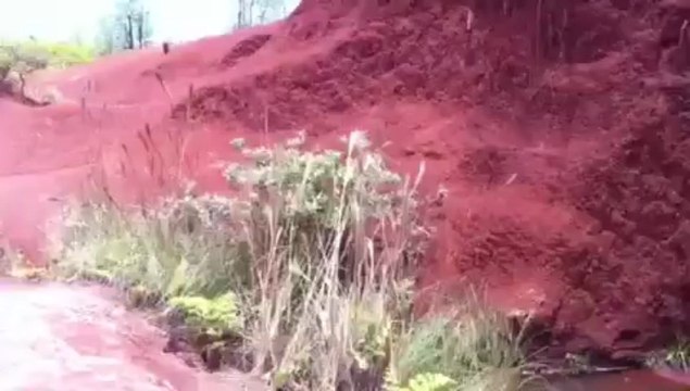 Kauai waterfall oasis towards Waimea Canyon