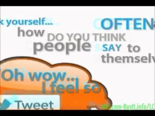 wordpress best voting widget  | LoveClaw Software Review