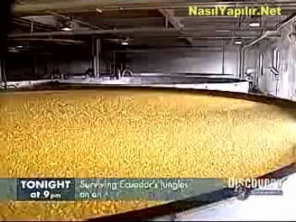 Viski Nasıl Yapılır? | NasılYapılır.Net |