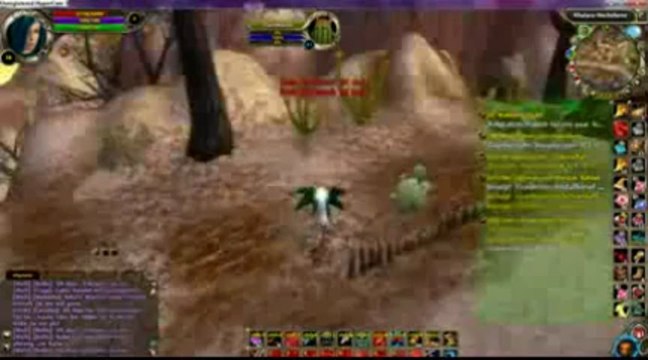 Runes of Magic › Hack Cheat FREE DOWNLOAD