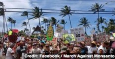 2M March Against Monsanto, Genetically Modified Foods