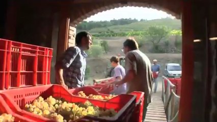 TV3 - GR Terres del sud - Un camí ple de paisatges
