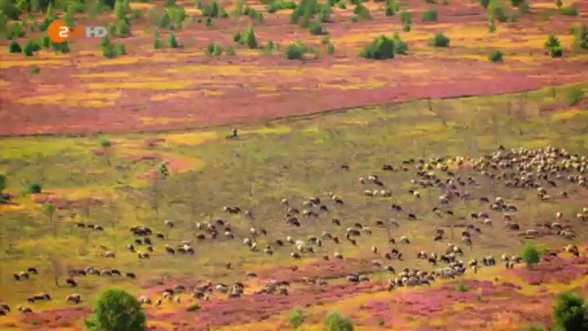 Terra X Deutschland von oben - ZDF