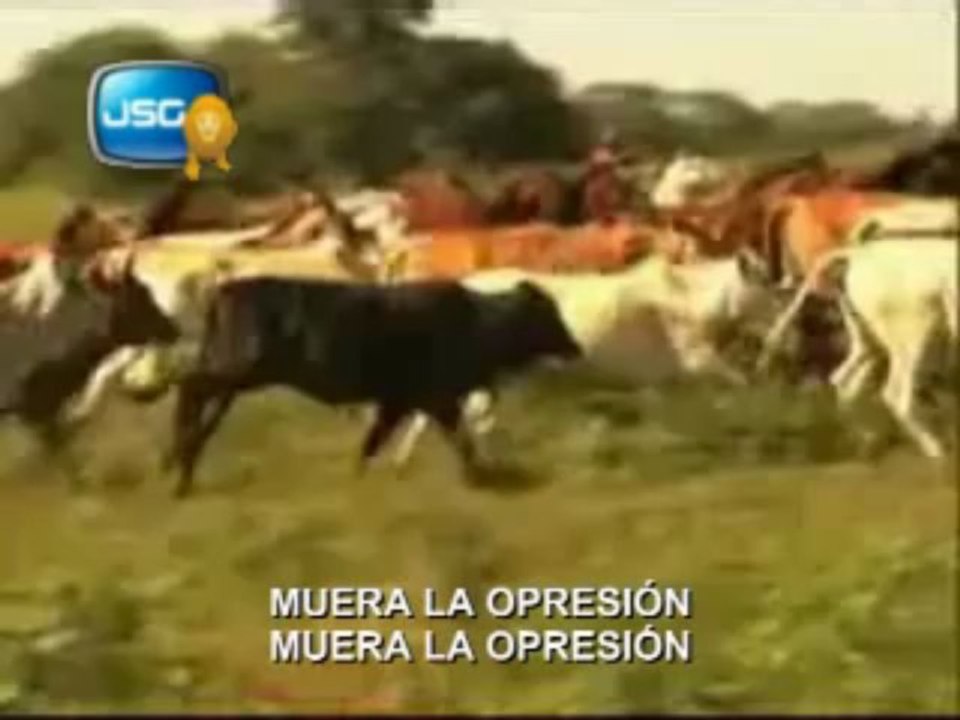 Tanda 11 de JSG TV