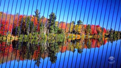 Chanson d'amour - Ray Conniff