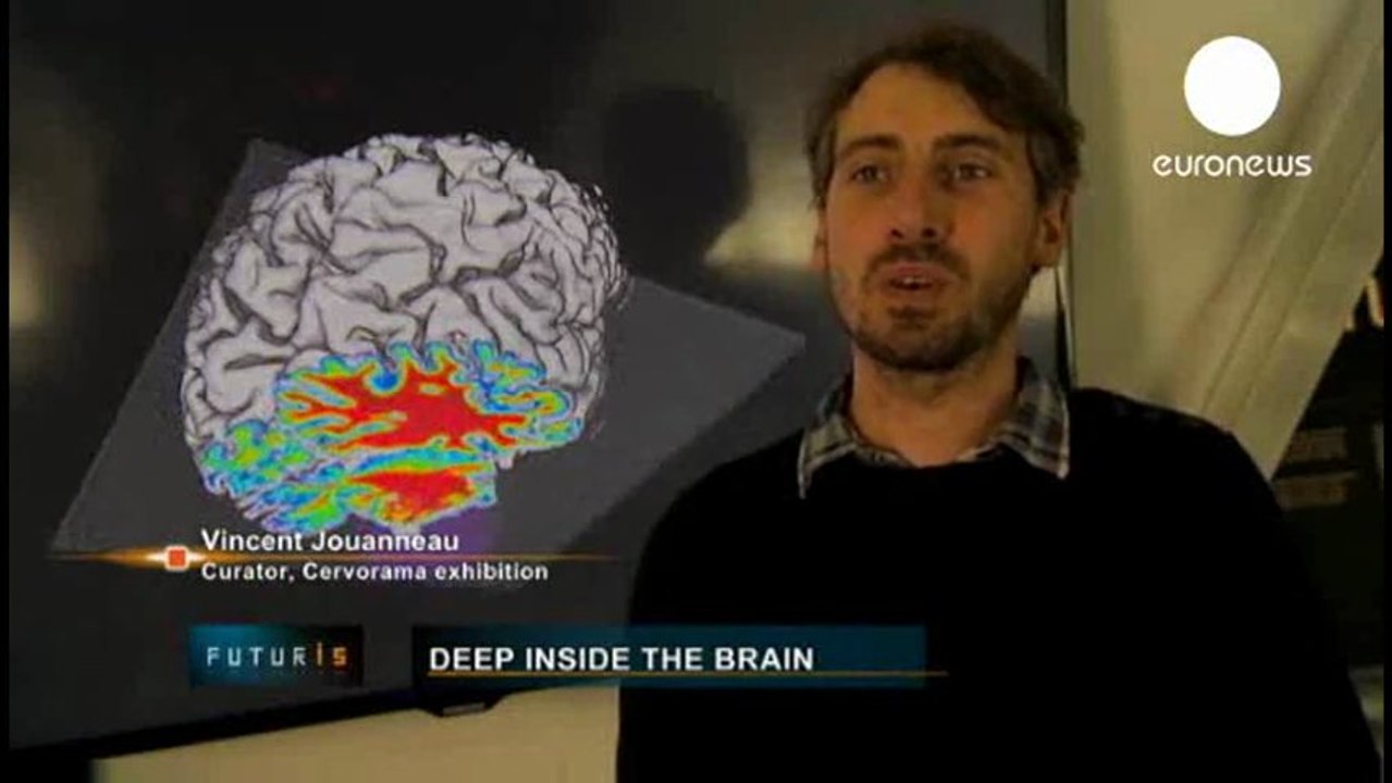 Cervorama: Dentro del cerebro