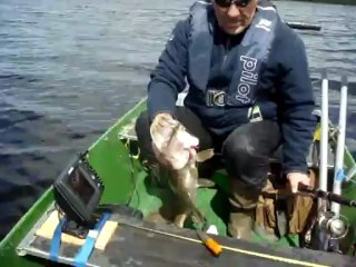 brochet Irlande Remy 3