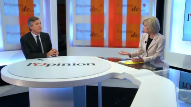 L'OPINION D'ELISABETH GUIGOU