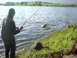 Brochet Irlande 2013 Alex