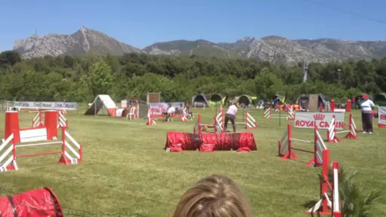 selectif gpf sylvie et guesstouille